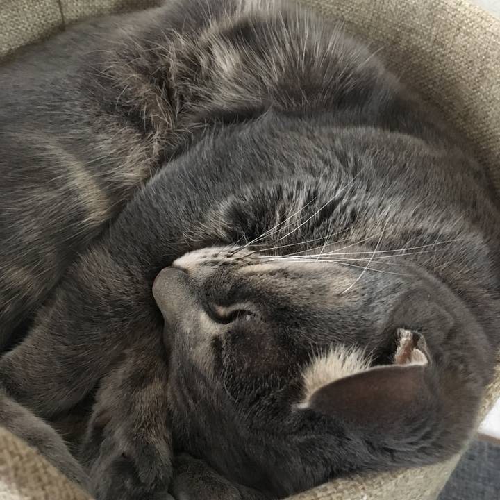 7442dd8a 19a5 4125 a946 0497cb93aa58 1547679767630