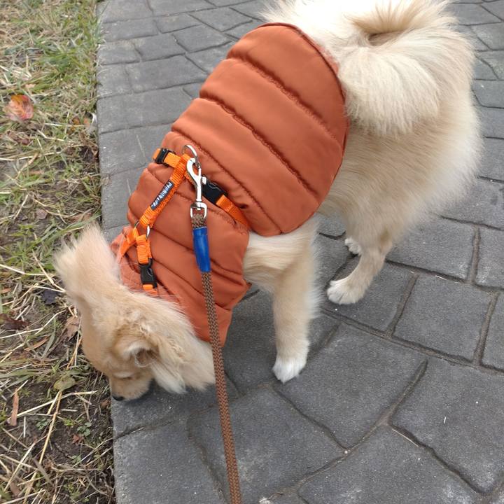 7442de70 47e4 48ca a6d2 6d0efc591481 1733889666243