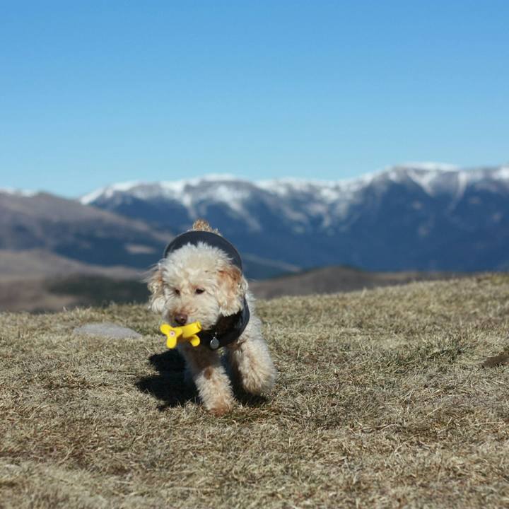 74431382 266e 499b bcd9 b116cfbe48bd 1547506978422