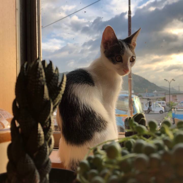 74432b2c 6f1b 4eec 807a 9b2dc18a32d1 1565904521465