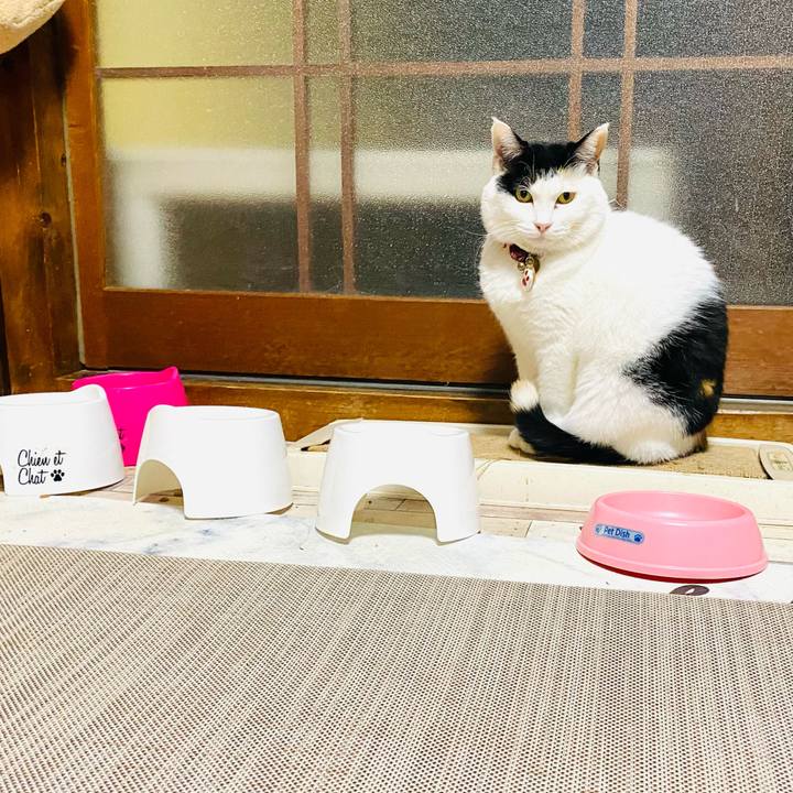 74434338 e502 4489 86af 7bde08bafdeb 1735950827468