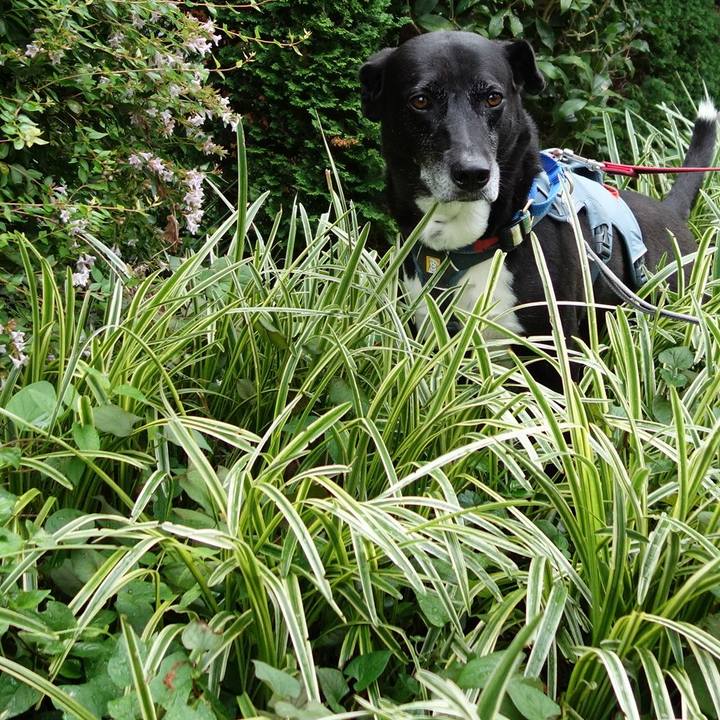 74436e15 af8d 466c a532 5ee2bb66affc 1723074118554