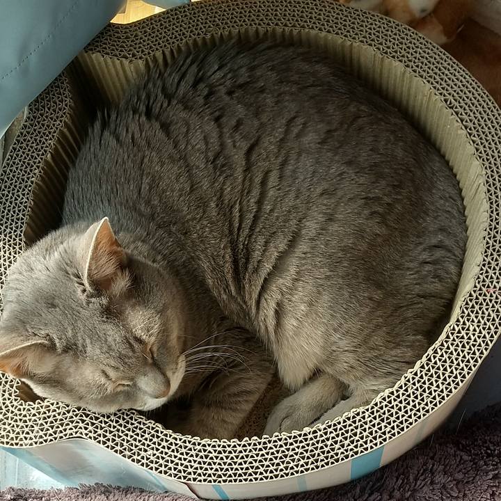 74438026 3d96 44db b7a0 aaa637a181cb 1613011661242