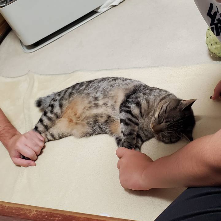 74438ae0 7f51 49a7 92fa f731d3775436 1701744327896