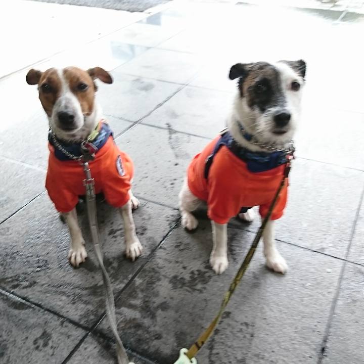 7443cb77 475d 4303 8422 3fc04e091ef1 1595663126693