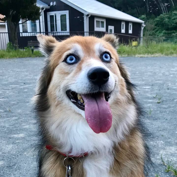 7443d012 5a4e 4cde b2f2 df09e801b070 1566207730100