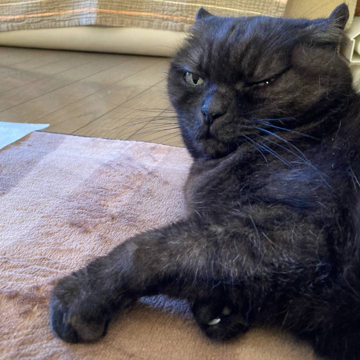 744401a5 b815 4cdb 8a7f b64d5b3a6e79 1611048695016