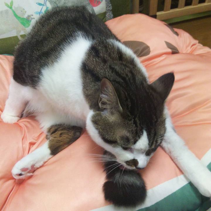 74444372 53af 4c15 87f2 f9e6f3c53fff 1662348195844