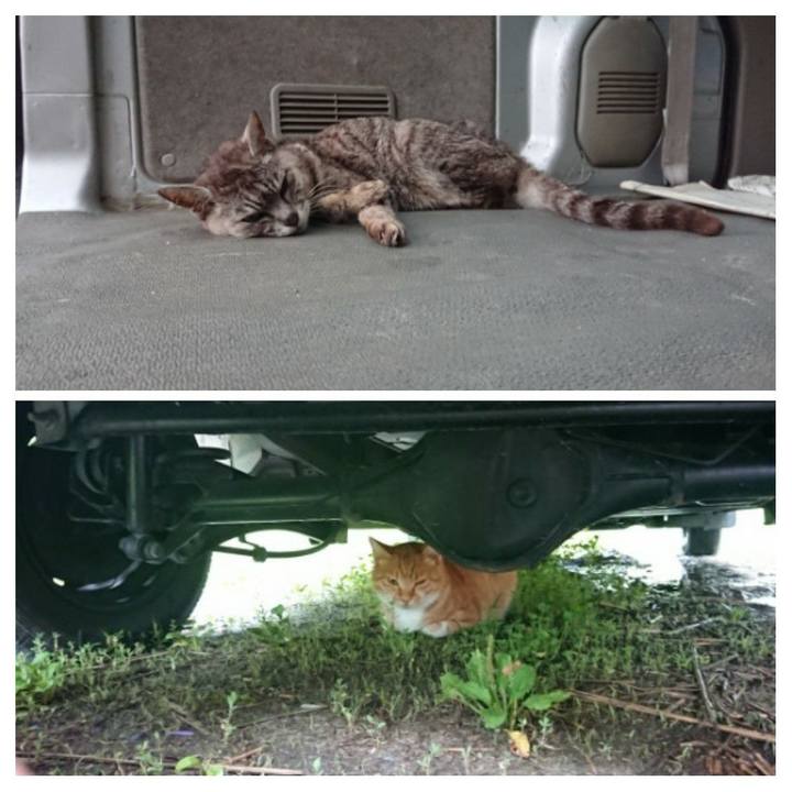 74444b7a 953d 40ba 9eaa 7c2e4c5767d8 1597179759101