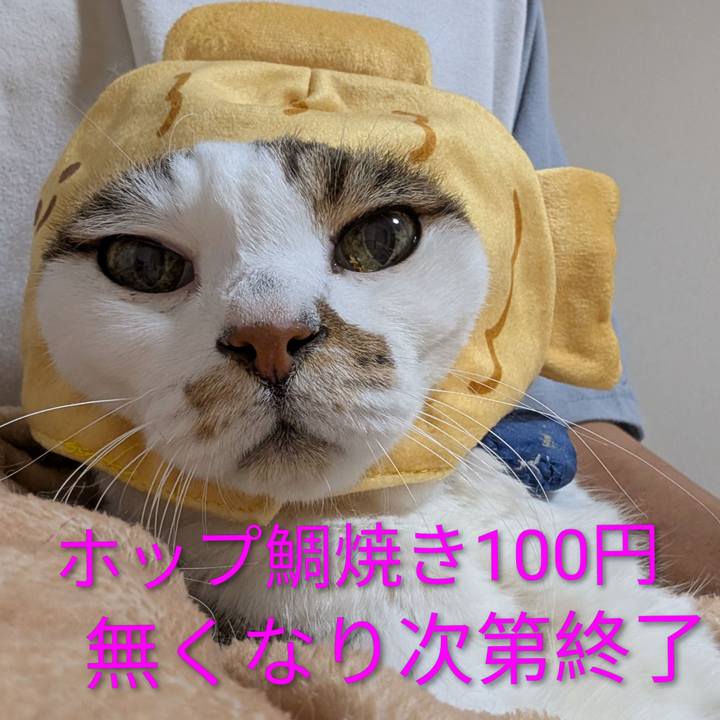 7444795e 0f8a 4e52 962e d6bd30960c44 1762717855681
