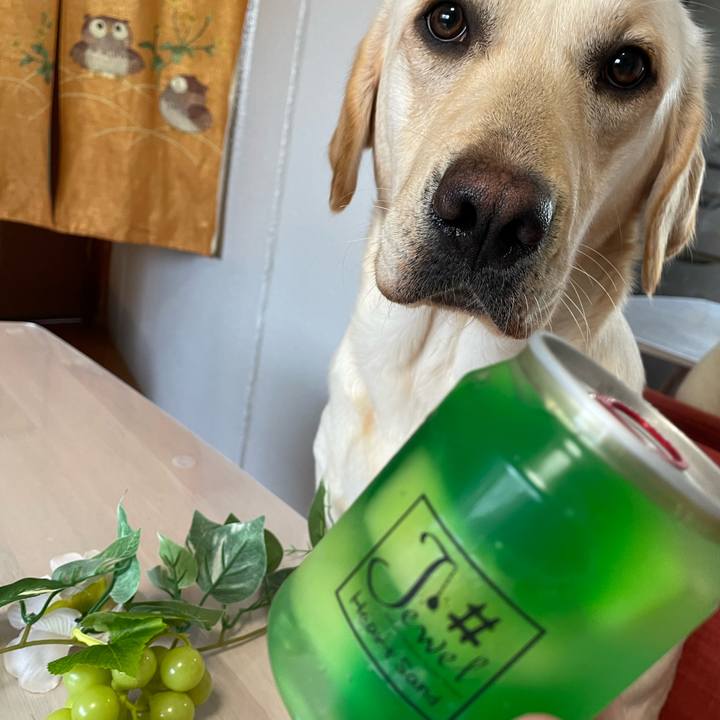 74447b28 089b 4aa1 b797 00d4ec2d351d 1651387010692