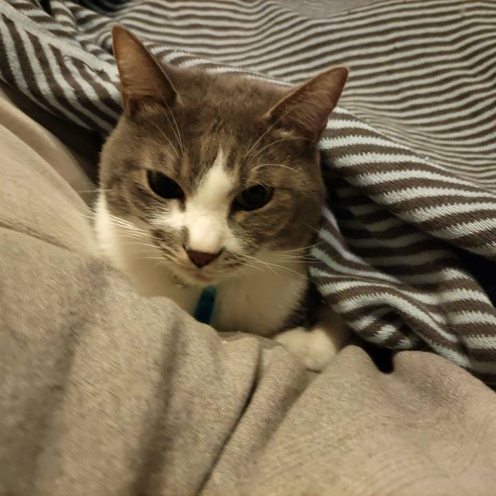 7444922e 8f6a 4938 9efa 86017caaa5ae 1702937072857