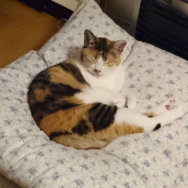 7444abeb 0348 49ae 852b 2a6ea768fa0f 1600439202089