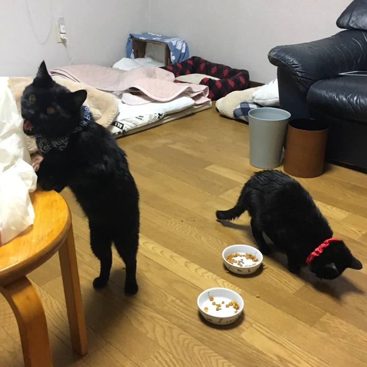 7444af75 e814 431c 8db6 33555467b2d9 1552995792938