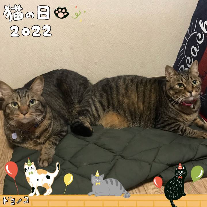 7444b870 78a9 4f7c b5a7 2182a4f60526 1645539787479