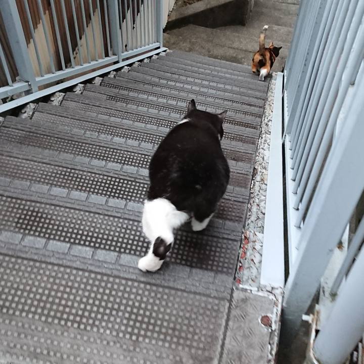 744505fd 7555 4485 9277 cd11602f8095 1665530820467