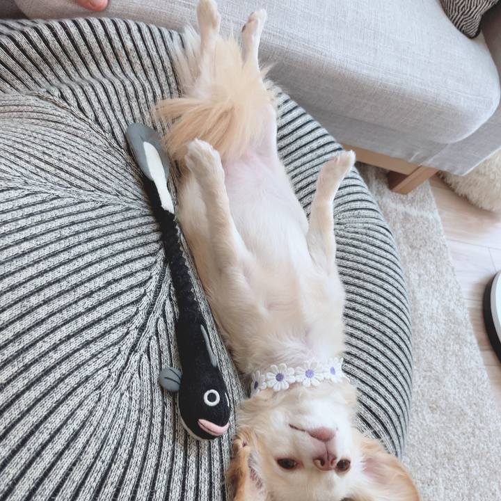 74454833 ac48 4afc a574 4c9c2dbdd354 1690721777466