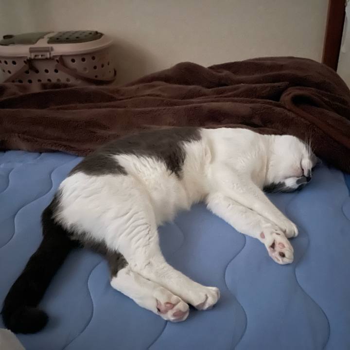 7445513f 6d8f 4f34 a86a e3f0dfca863d 1659560944555