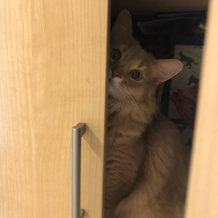 74459990 1626 4e6c a864 9f153ecce60f 1591839842147