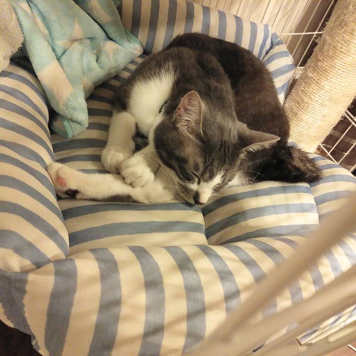 7445a835 e103 43af b5ea 124ac847fbcb 1592754298227