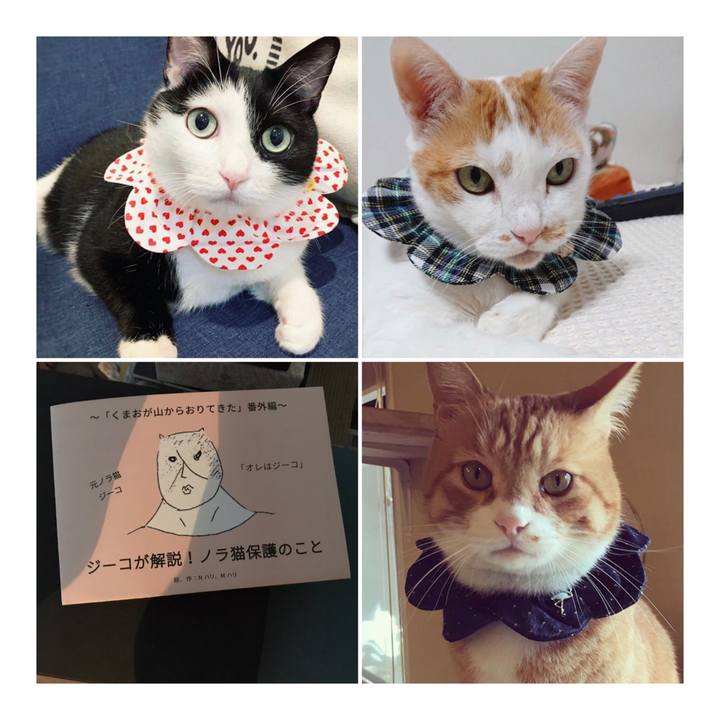 7445e1e3 fe06 4203 8c15 5a3ffa84039d 1566034768450