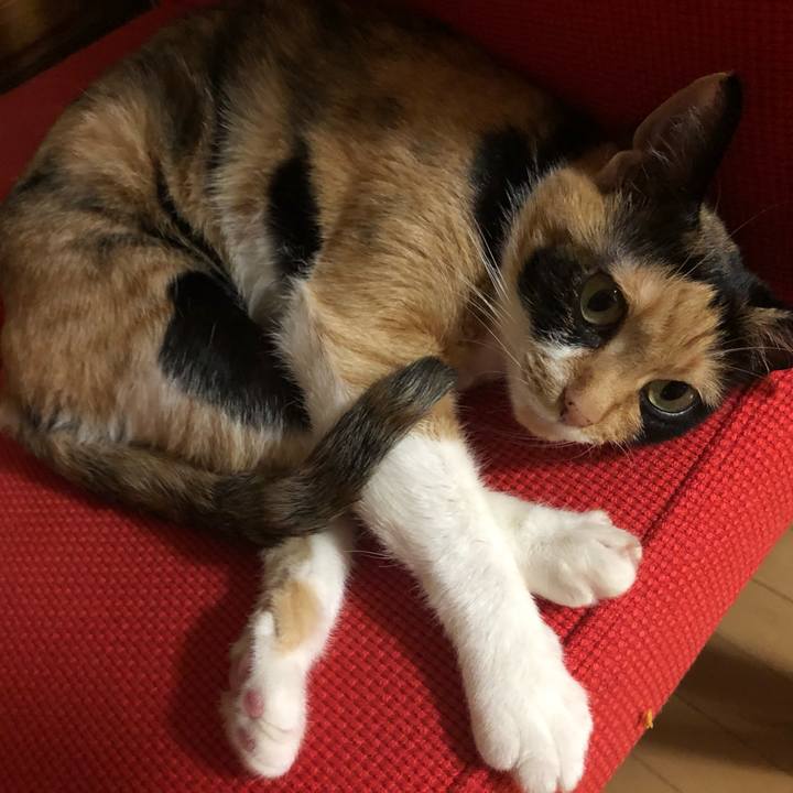 7446197c 84a5 4eab 980a 9fd1e738e0bc 1561901911616