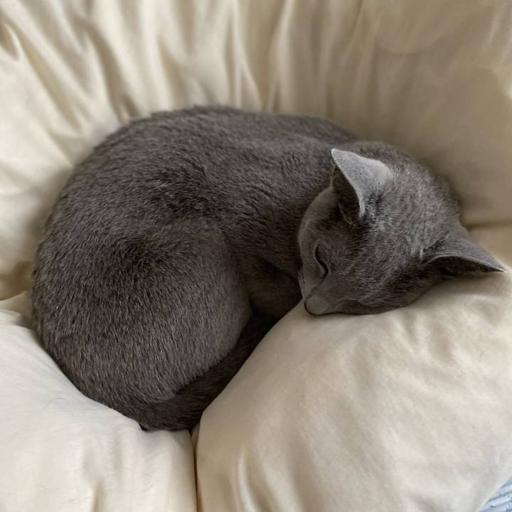 74462deb fd47 4c33 820e 5b52dc9bed0f 1685400912228