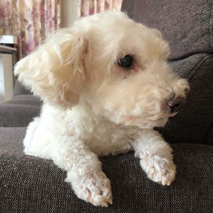 744632d0 d6ca 4bbd 8f2b a090c5cb502c 1538876550564