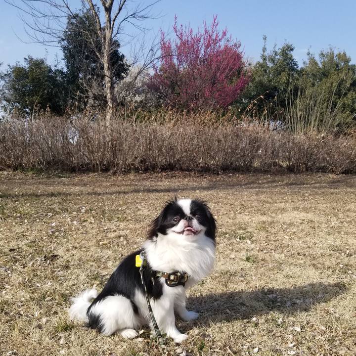 74466f7a fa0f 407c aff3 0fa08c20e9f7 1646472604625