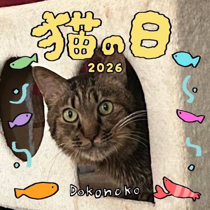 744684e5 e28c 43fd 8c74 4532f62c796d 1771715848093