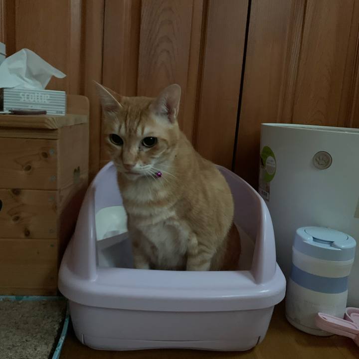 74468abd f3a4 4e0c ad31 6076d38e2b3d 1591734648203