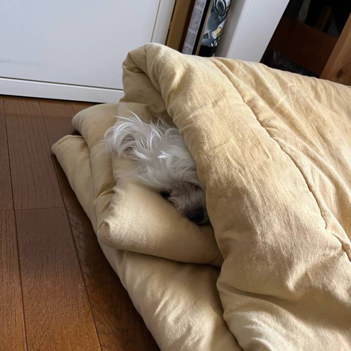 74468ca0 0367 4558 8a8b 0f7be4d95113 1742101232017