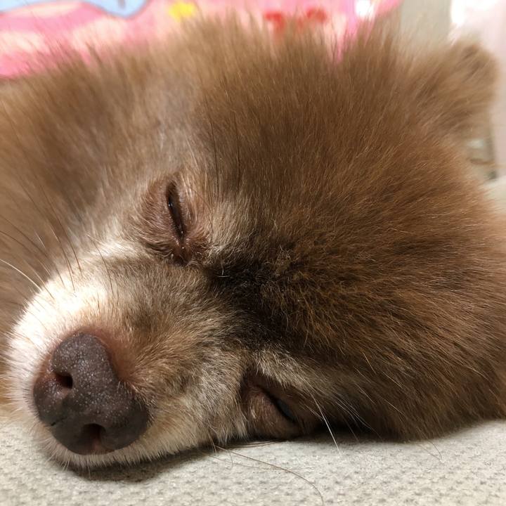 7446a21e e869 45d4 8927 4ce2001768da 1600943659784