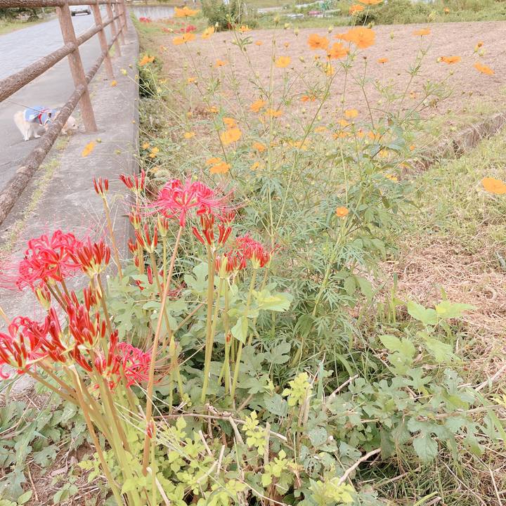 7446a597 0c8e 4664 978c 4bb6c5baf5b2 1663662108989