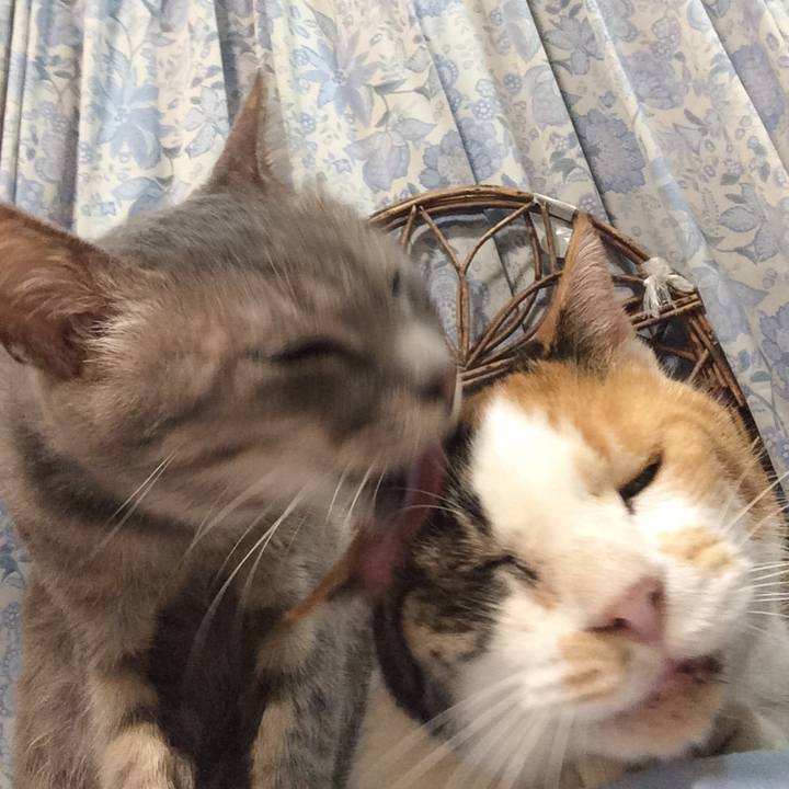 7446b519 c08c 457f 9c40 e3dfa1054f9a 1565968480910