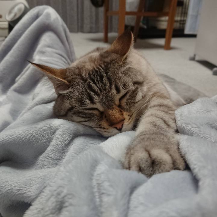 7446e9bd bb56 4fe4 bc9b 426f80798019 1556636151500