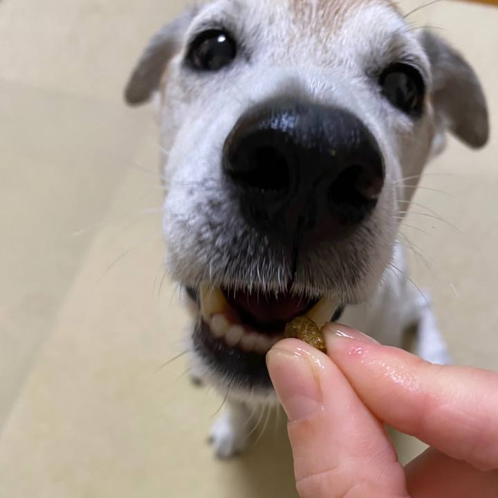 7446f42e 0744 473e 8dbb 6f1cfa4b16d6 1597873330913