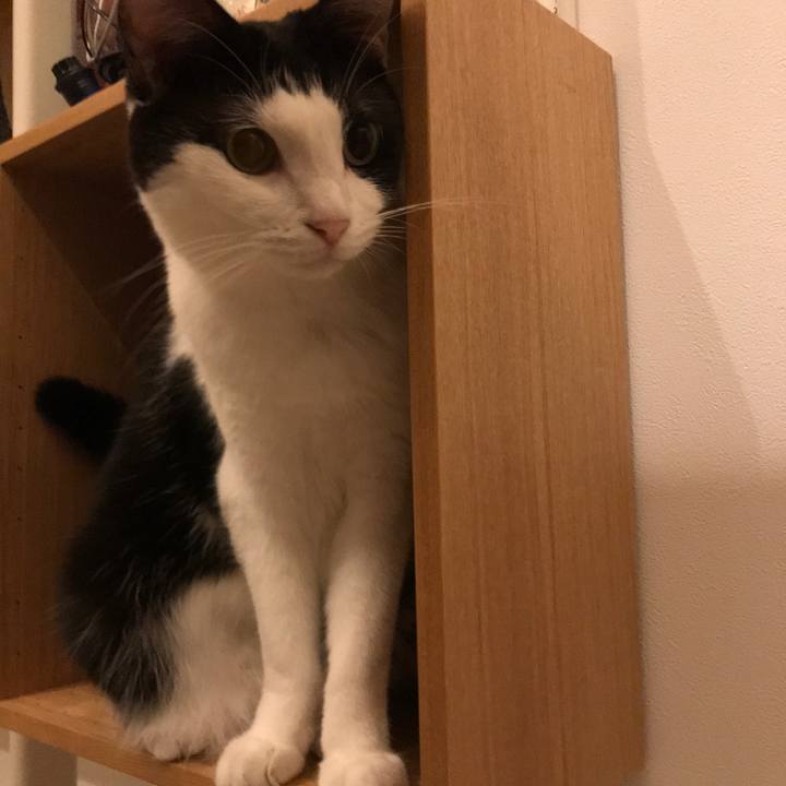 744743fa 80b4 4da2 930a ced467b6b9d9 1545996333881