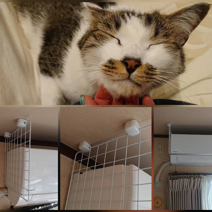 744774d5 317a 4ab7 ae45 7e68d467abfc 1622964745253