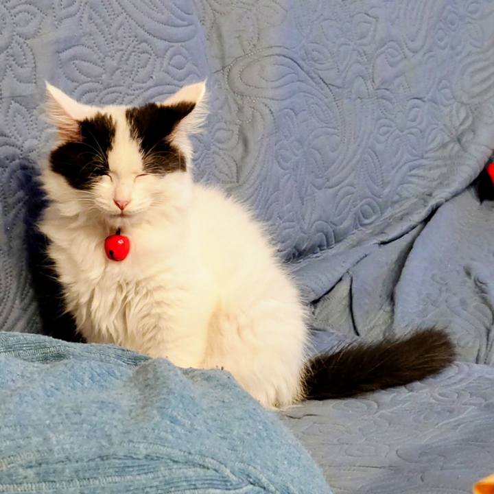 74479874 646c 4a8b ae65 9bde910ba1bb 1761470249710