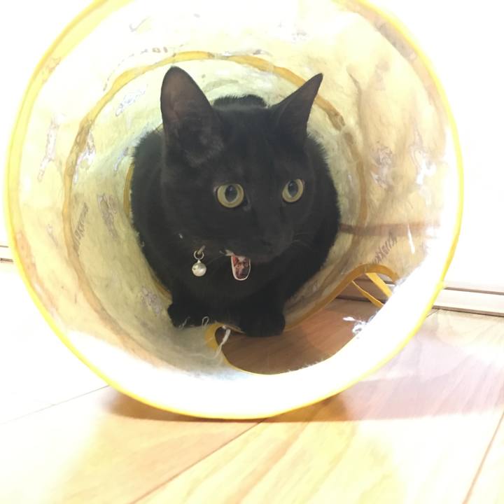 74479b73 a4fb 46db 8fb4 b436441f9b56 1515887428577