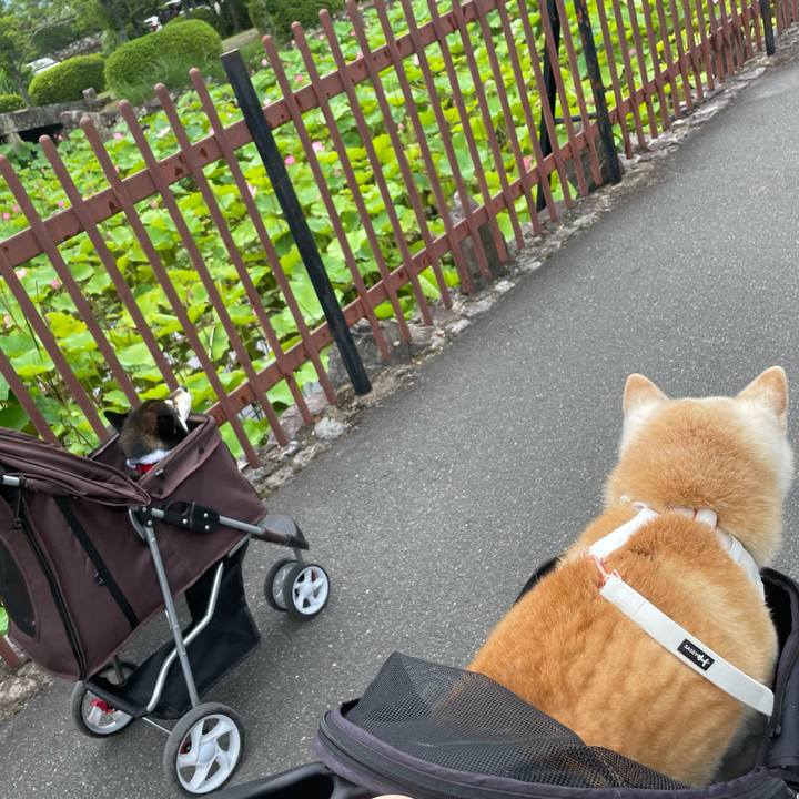 7447afe3 622e 4fa6 90bd 71acdde5d040 1656228171362