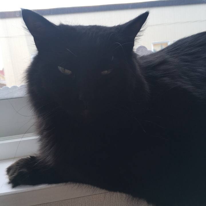 7447c44f 15f7 4ad5 9e0e 9de401cd91ce 1528600859461