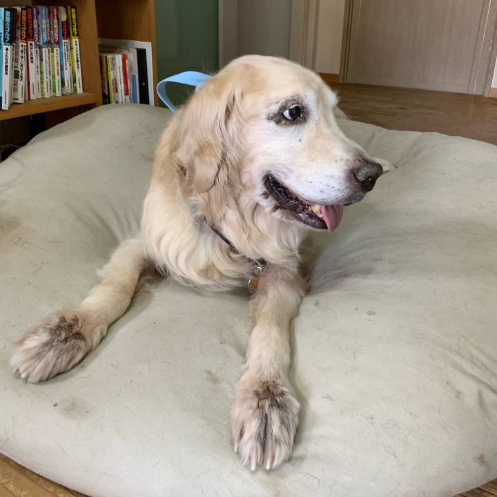 7447cbdb 0b89 4d54 80cb 89e2e4c9928c 1613261681333