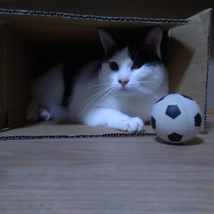 744828c0 43f2 412f 91f6 668c5af7a675 1529408991340