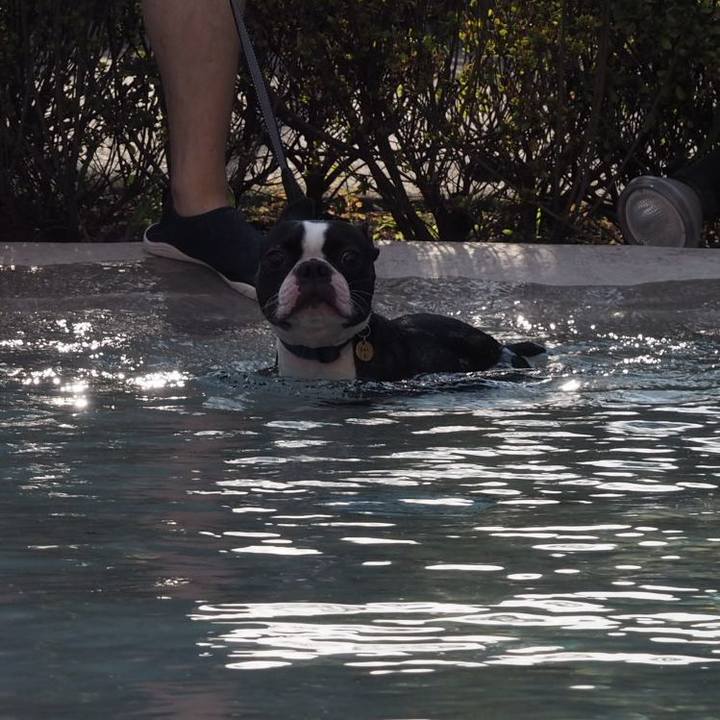 744847d3 a3a8 4cbe be7b 90a989bb471d 1567124030501