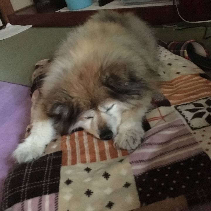 7448a0de 1a78 40b5 8f2c 8ee1706c033b 1583545598791