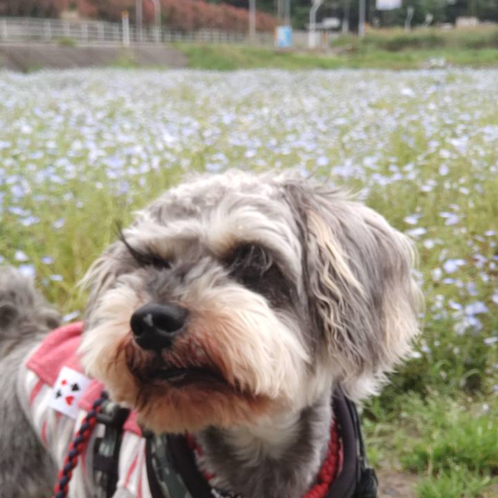 7448a561 f95e 4ad4 8e13 93b8754e2d14 1714195248401