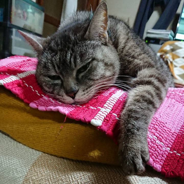 7448a74d fa42 4d74 93cc 89c23e22aa73 1551690780702