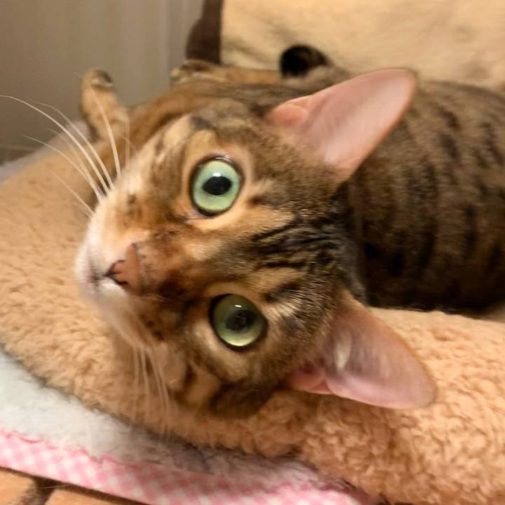 7448d45e fab8 4888 861f 193de594df9b 1617245921073